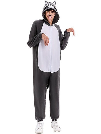Costume da procione