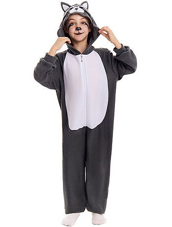 Costume da procione