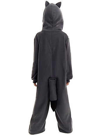 Costume da procione