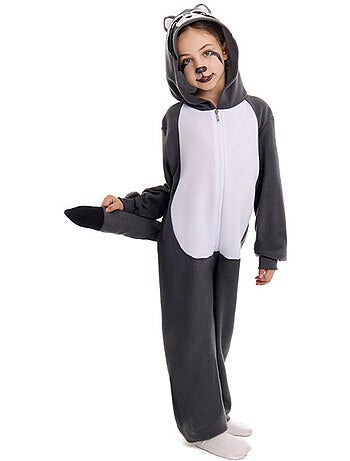Costume da procione