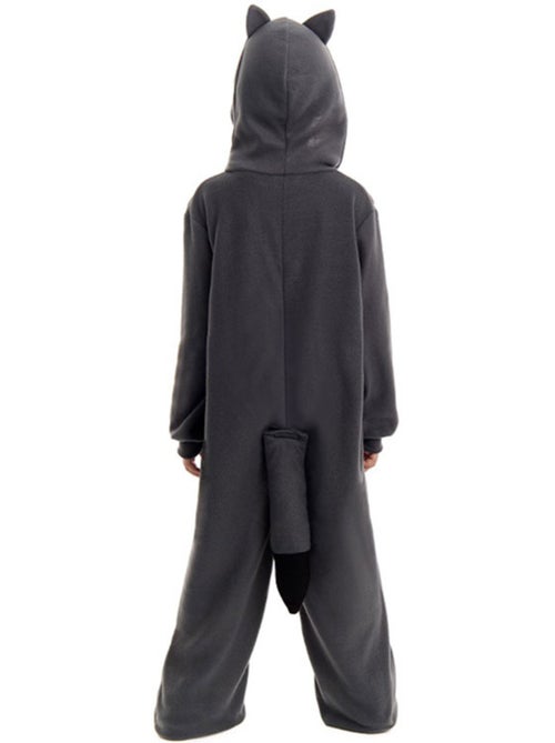 Costume da procione - Kiabi