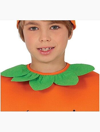 Costume da zucca