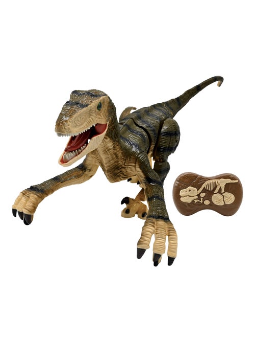 Dinosauro Velociraptor RC telecomandato con effetti sonori realistici - Kiabi