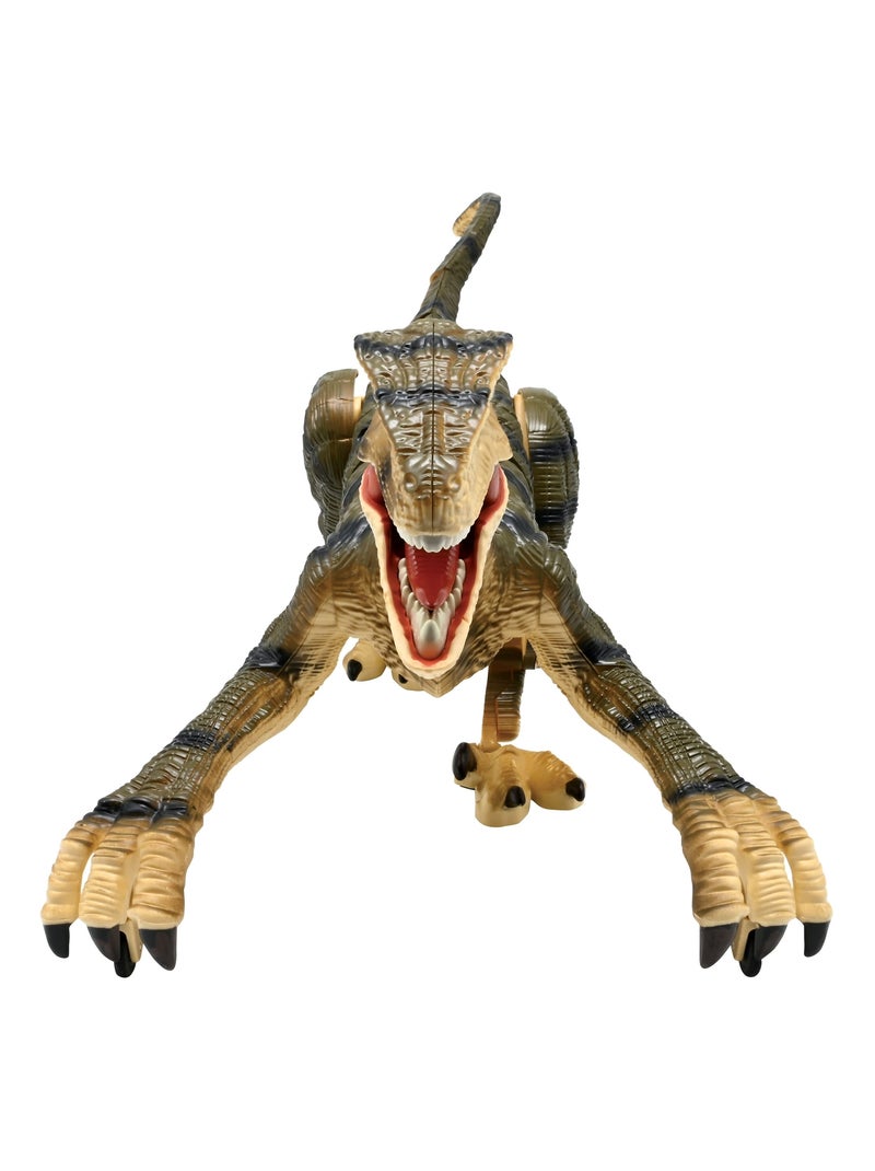 Dinosauro Velociraptor RC telecomandato con effetti sonori realistici Beige - Kiabi