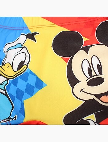 Disney - Boxer mare Mickey