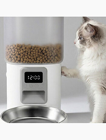 Dispenser automatico di cibo per gatti – Peluvio Crispy