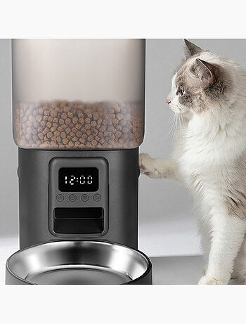 Dispenser automatico di cibo per gatti – Peluvio Crispy