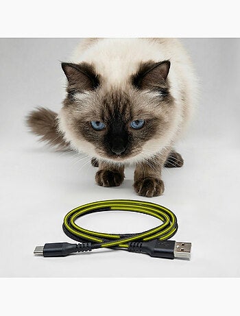 Dispenser automatico di cibo per gatti – Peluvio Crispy