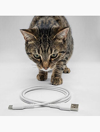 Dispenser automatico di cibo per gatti PELUVIO Crispy Wi‑Fi