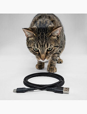 Dispenser automatico di cibo per gatti PELUVIO Crispy Wi‑Fi