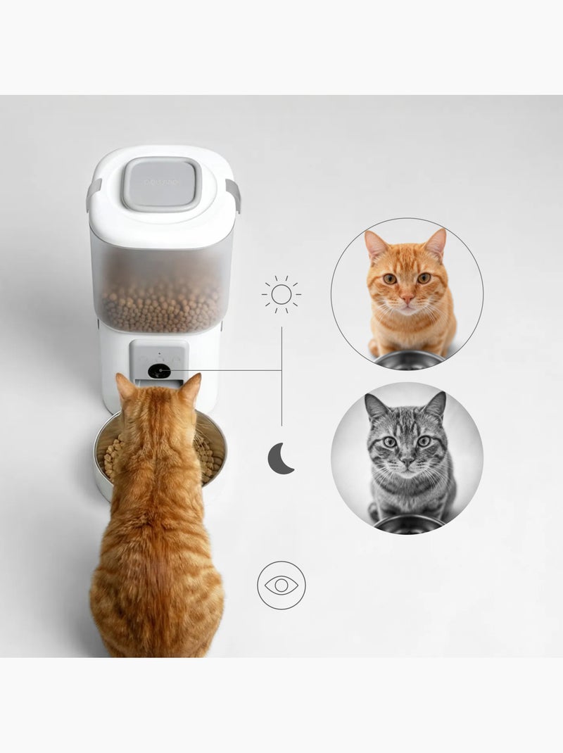 Dispenser di cibo e fontanella per gatti PELUVIO Feast Bianco - Kiabi