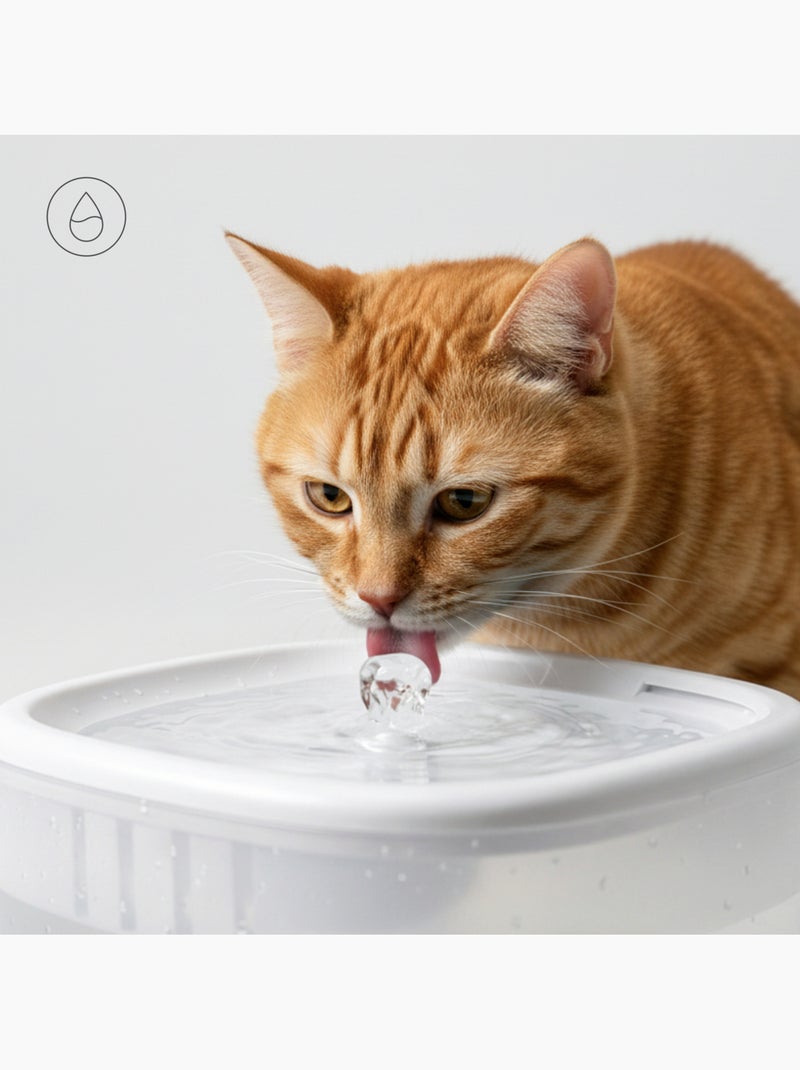 Dispenser di cibo e fontanella per gatti PELUVIO Feast Bianco - Kiabi