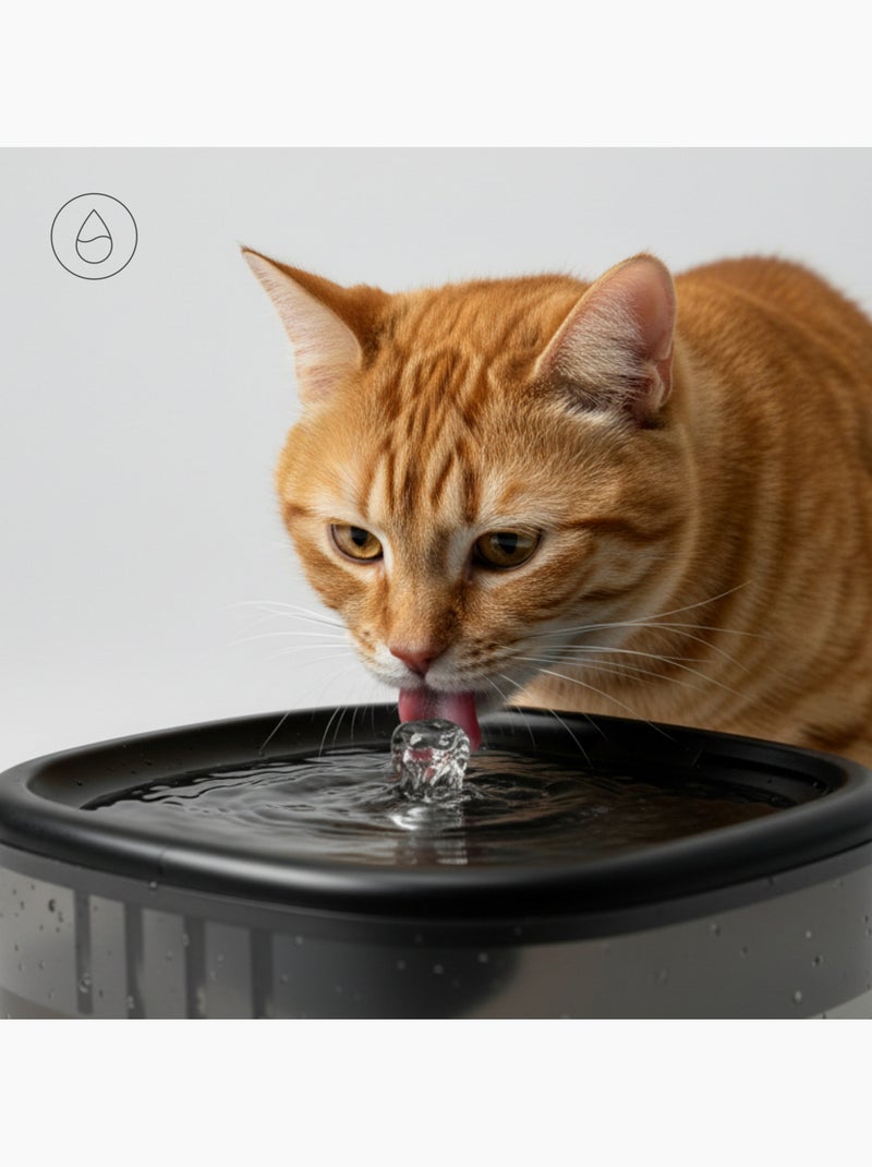 Dispenser di cibo e fontanella per gatti PELUVIO Feast Nero - Kiabi