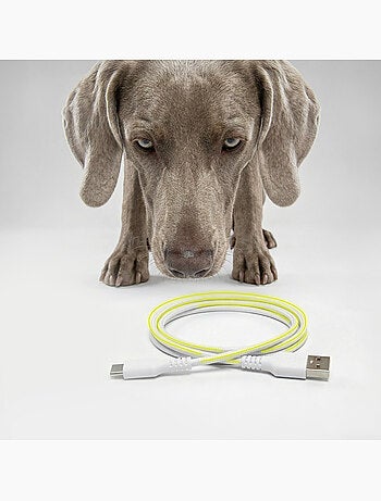 Distributore automatico di croccantini per cani PELUVIO Crispy - 4,5 L - 4 pasti/giorno