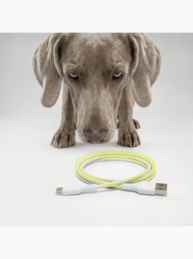Distributore automatico di croccantini per cani PELUVIO Crispy - 4,5 L - 4 pasti/giorno Bianco - Kiabi