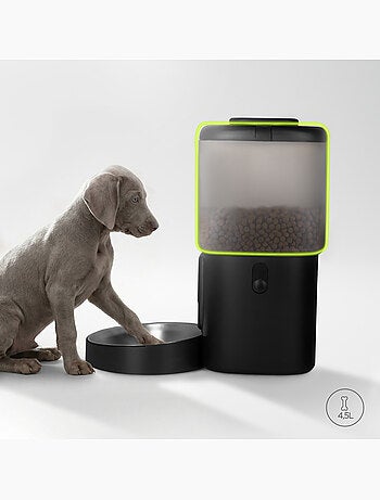 Distributore automatico di croccantini per cani PELUVIO Crispy - 4,5 L - 4 pasti/giorno