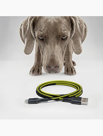 Distributore automatico di croccantini per cani PELUVIO Crispy - 4,5 L - 4 pasti/giorno