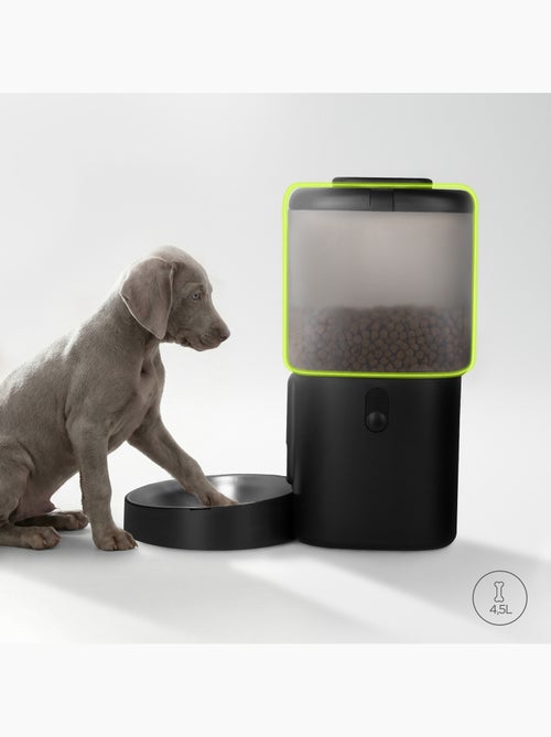 Distributore automatico di croccantini per cani PELUVIO Crispy - 4,5 L - 4 pasti/giorno - Kiabi Distributore automatico di croccantini per cani PELUVIO Crispy - 4,5 L - 4 pasti/giorno - Kiabi