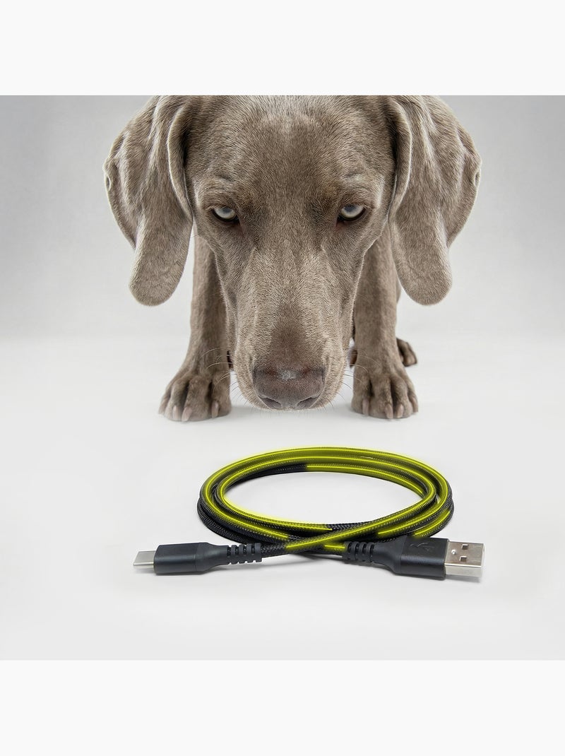 Distributore automatico di croccantini per cani PELUVIO Crispy - 4,5 L - 4 pasti/giorno Nero - Kiabi