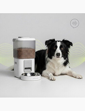 Distributore automatico di croccantini per cani PELUVIO Crispy - Wi-Fi - 4,5 L - 4 pasti/giorno