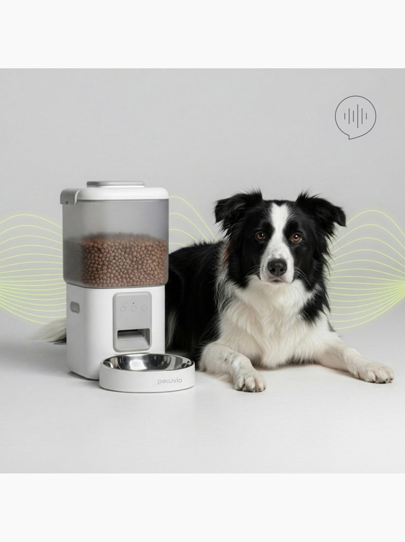 Distributore automatico di croccantini per cani PELUVIO Crispy - Wi-Fi - 4,5 L - 4 pasti/giorno Bianco - Kiabi