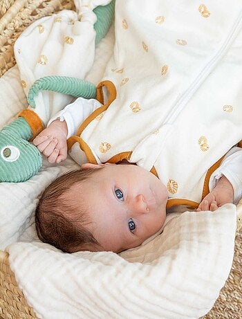 Doudou fazzoletto dinosauro