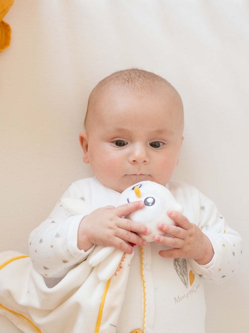 Doudou fazzoletto - Kiabi