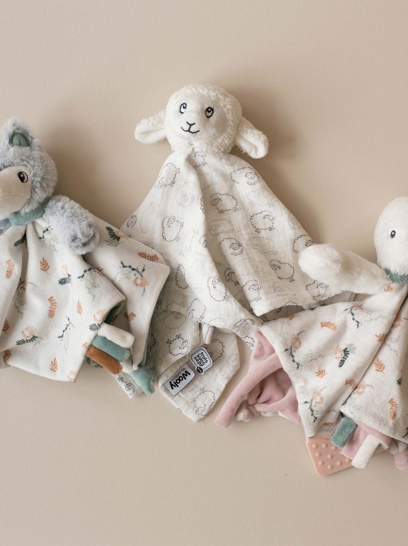 Doudou fazzoletto neonato Bianco - Kiabi