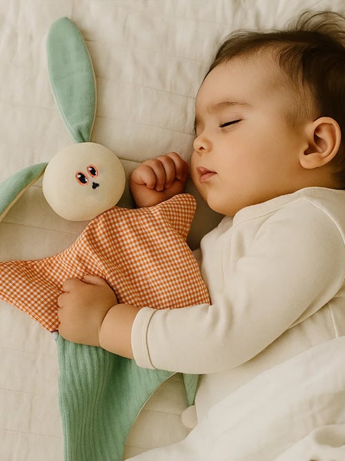 Doudou in cotone biologico Gus - Kiabi