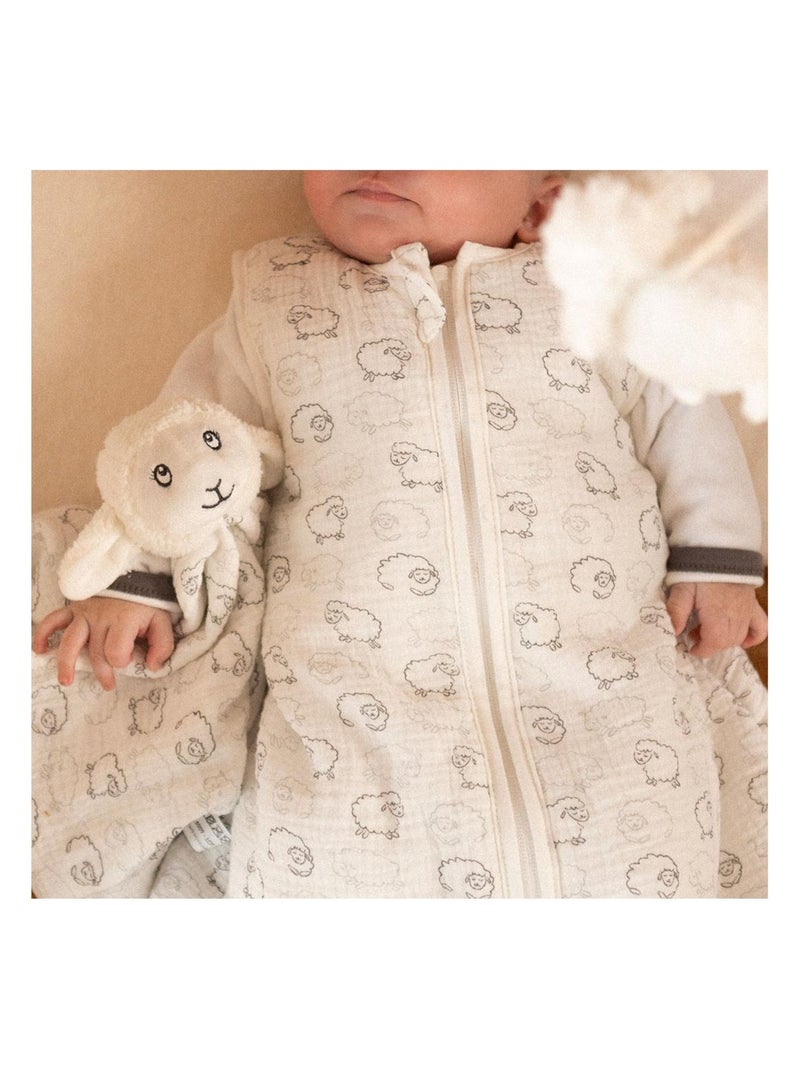 Doudou neonato Ecru - Kiabi