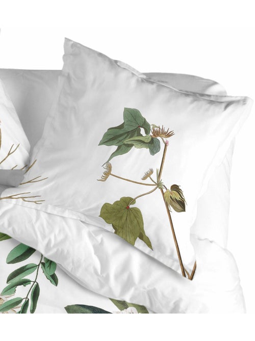 Federa per cuscino Blooming "Happyfriday" - Kiabi