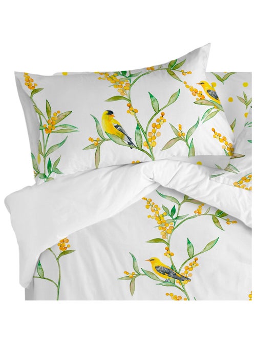 Federa per cuscino Corniglia "Happyfriday" - Kiabi