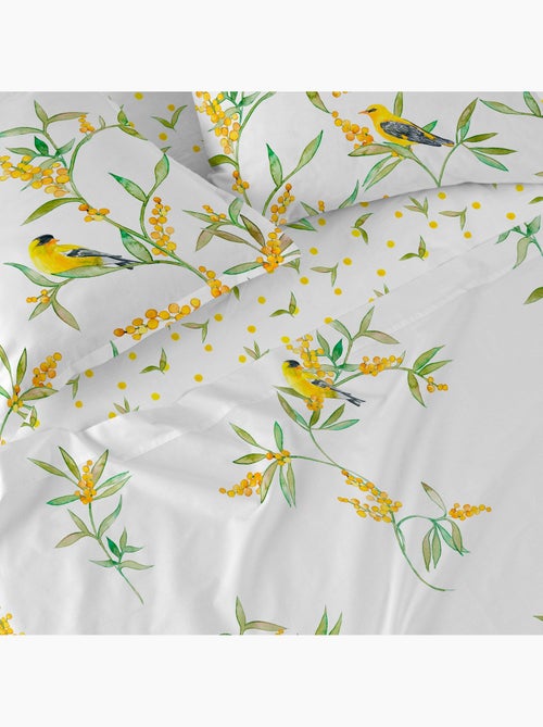 Federa per cuscino Corniglia "Happyfriday" - Kiabi