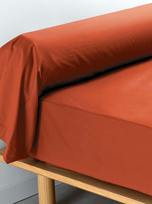 Federe per cuscini cilindrici in percalle di cotone LIA PROMO LINGE - Kiabi