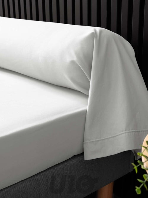 Federe per cuscini cilindrici in percalle di cotone Percale Douceur d'Intérieur - Kiabi