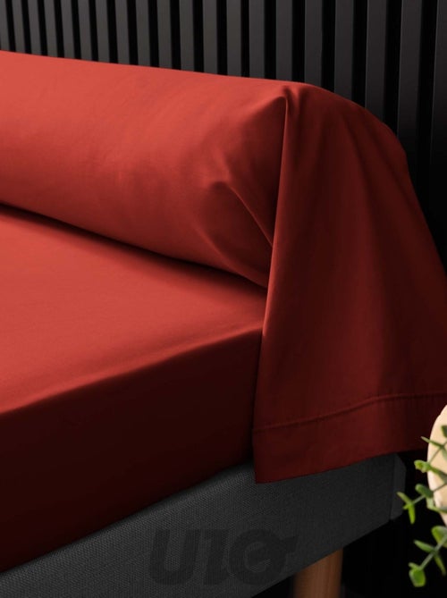 Federe per cuscini cilindrici in percalle di cotone Percale Douceur d'Intérieur - Kiabi