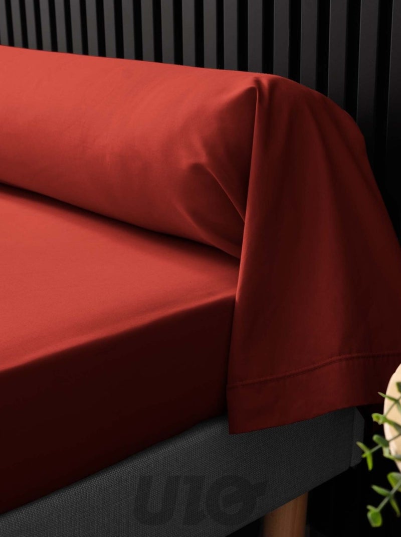Federe per cuscini cilindrici in percalle di cotone Percale Douceur d'Intérieur Rosso - Kiabi