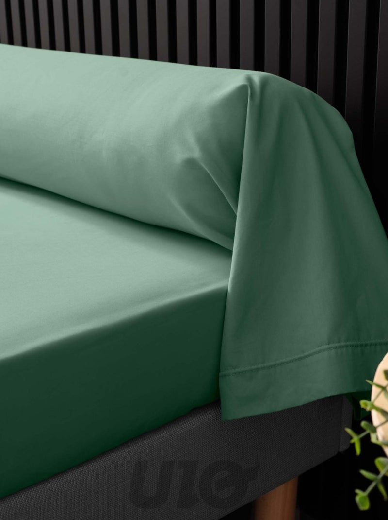 Federe per cuscini cilindrici in percalle di cotone Percale Douceur d'Intérieur Verde salvia - Kiabi