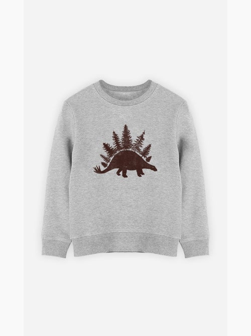 Felpa bambino STEGOFOREST - Kiabi