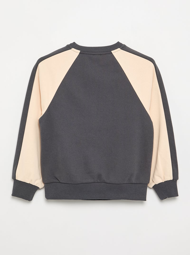 Felpa bicolore con stampa Grigio - Kiabi
