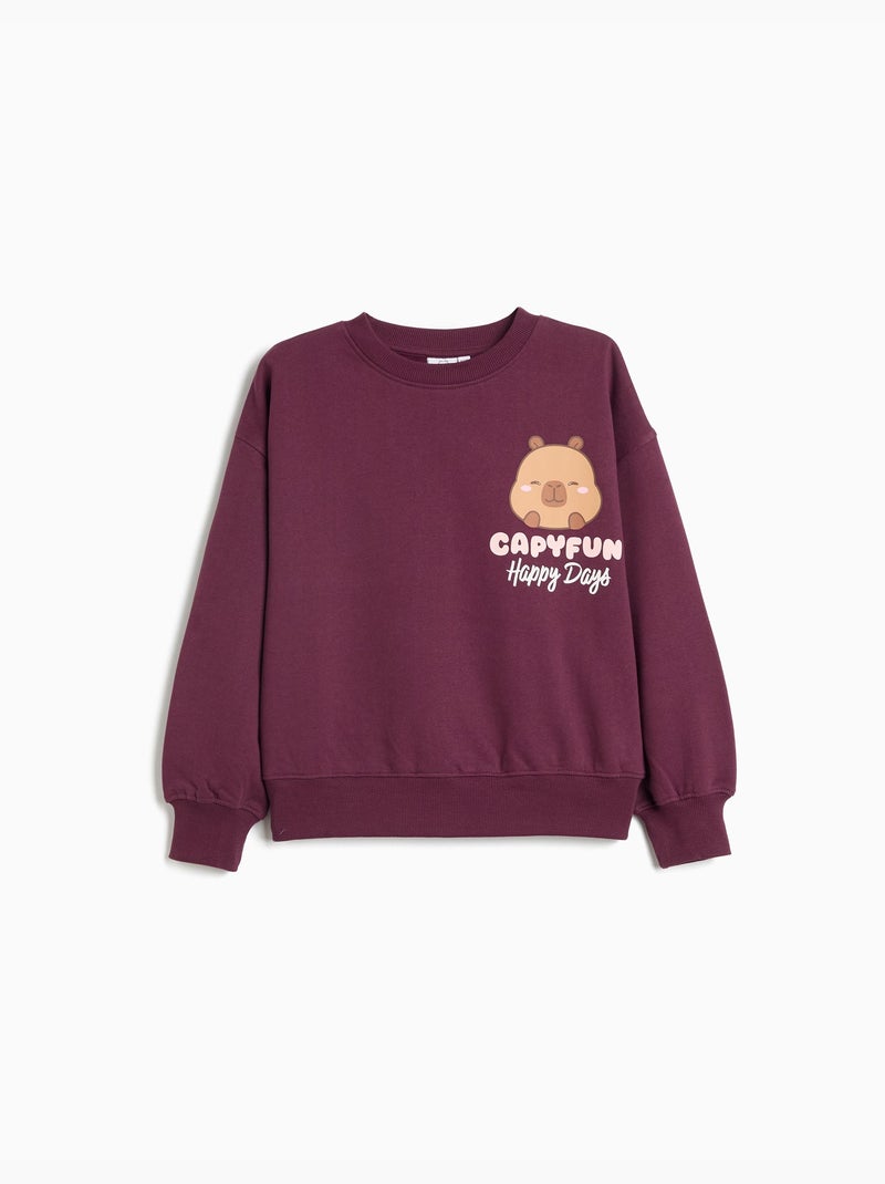 Felpa 'capybara'©capyfun, mo fashion Viola - Kiabi
