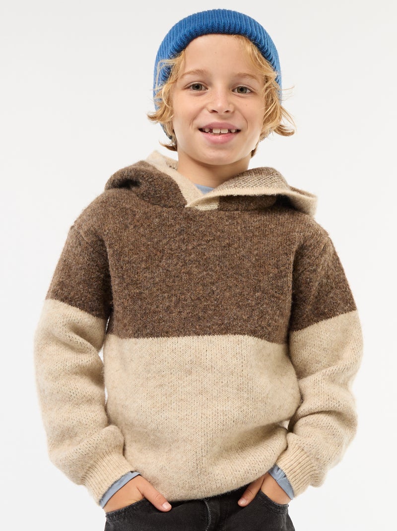 Felpa con cappuccio color block Marrone - Kiabi