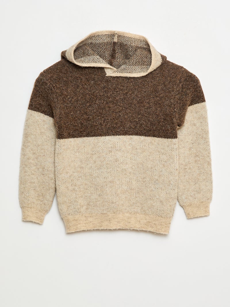 Felpa con cappuccio color block Marrone - Kiabi