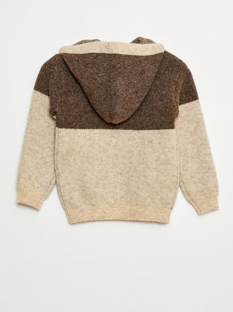 Felpa con cappuccio color block Marrone - Kiabi