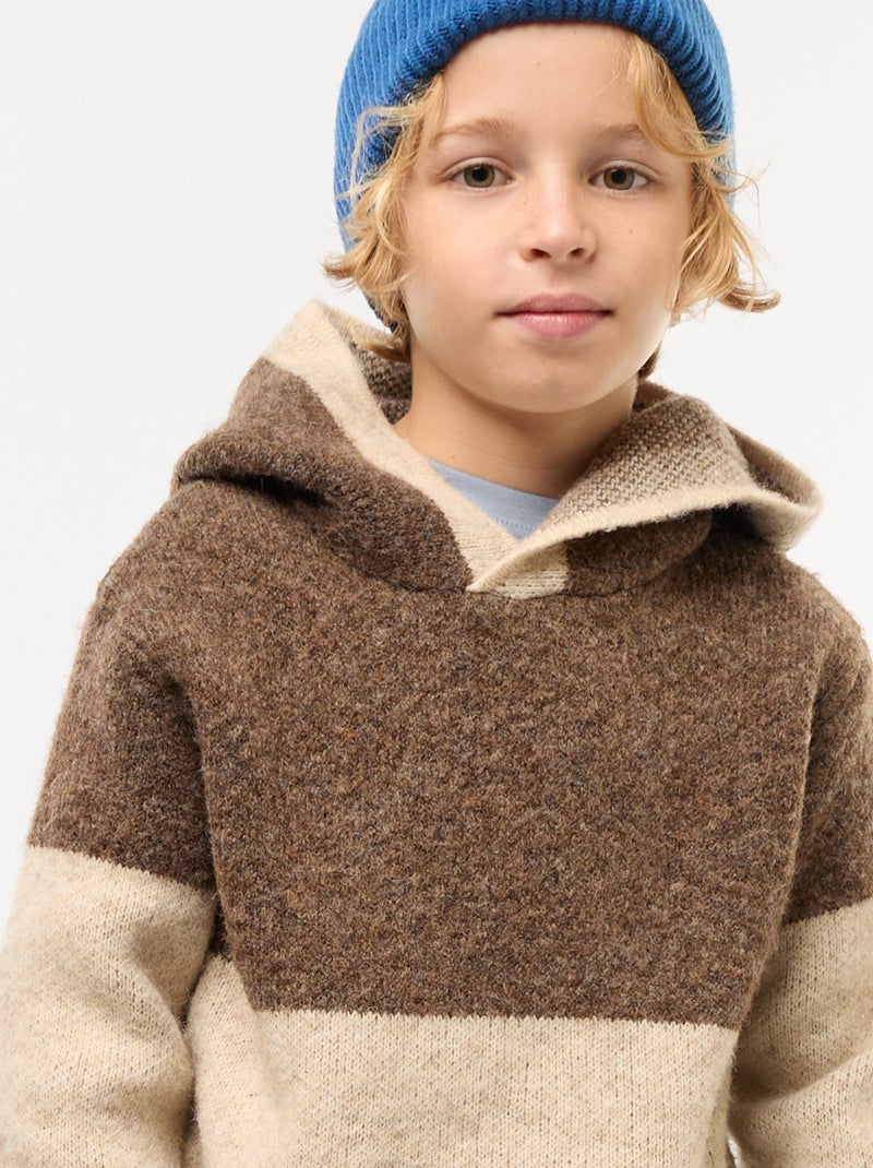 Felpa con cappuccio color block Marrone - Kiabi