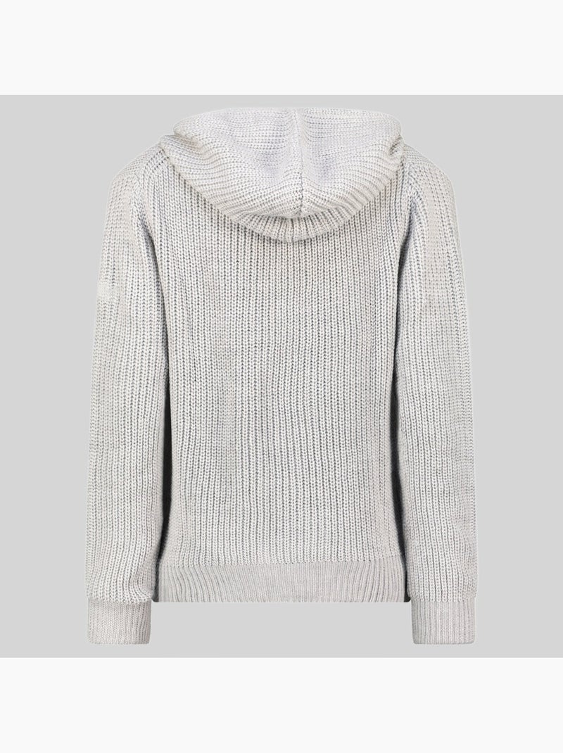 Felpa con cappuccio flexibus – geographical norway Grigio chiaro - Kiabi