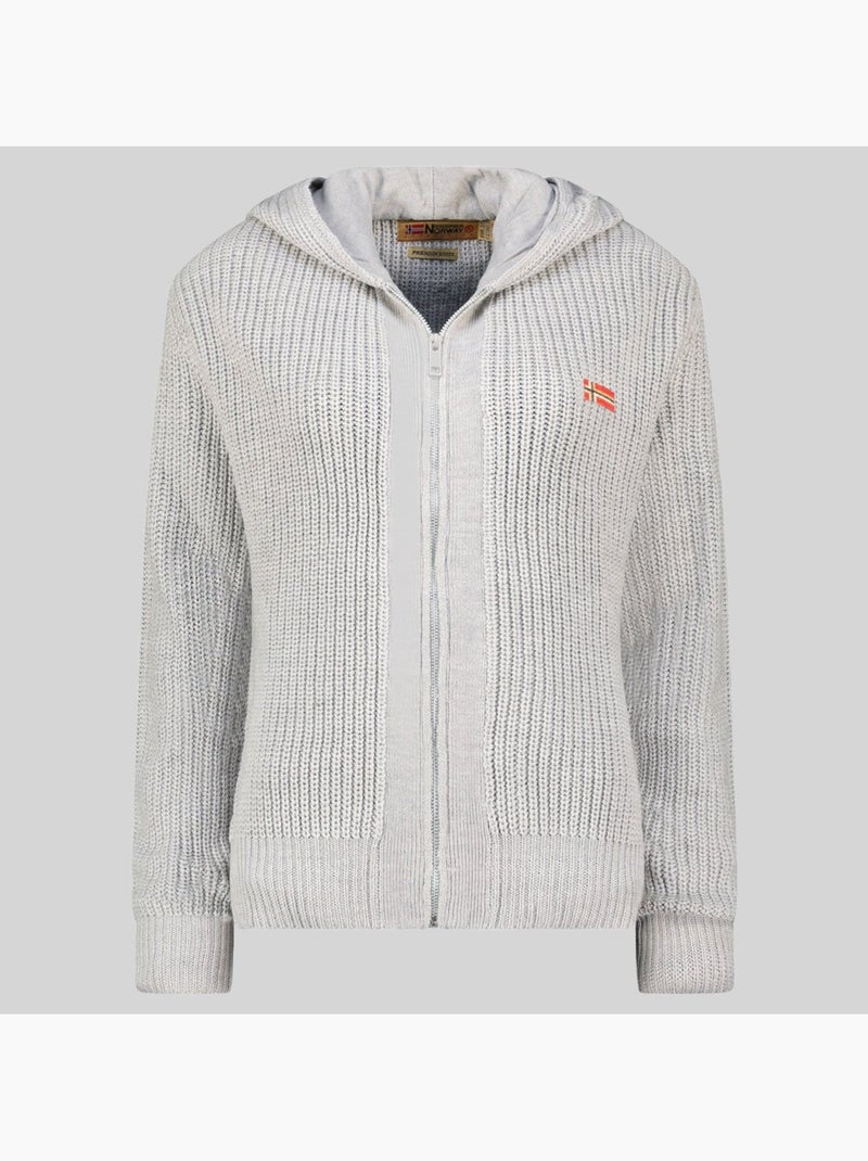 Felpa con cappuccio flexibus – geographical norway Grigio chiaro - Kiabi