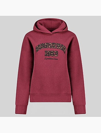 Felpa con cappuccio gaphir – geographical norway