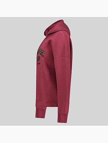 Felpa con cappuccio gaphir – geographical norway