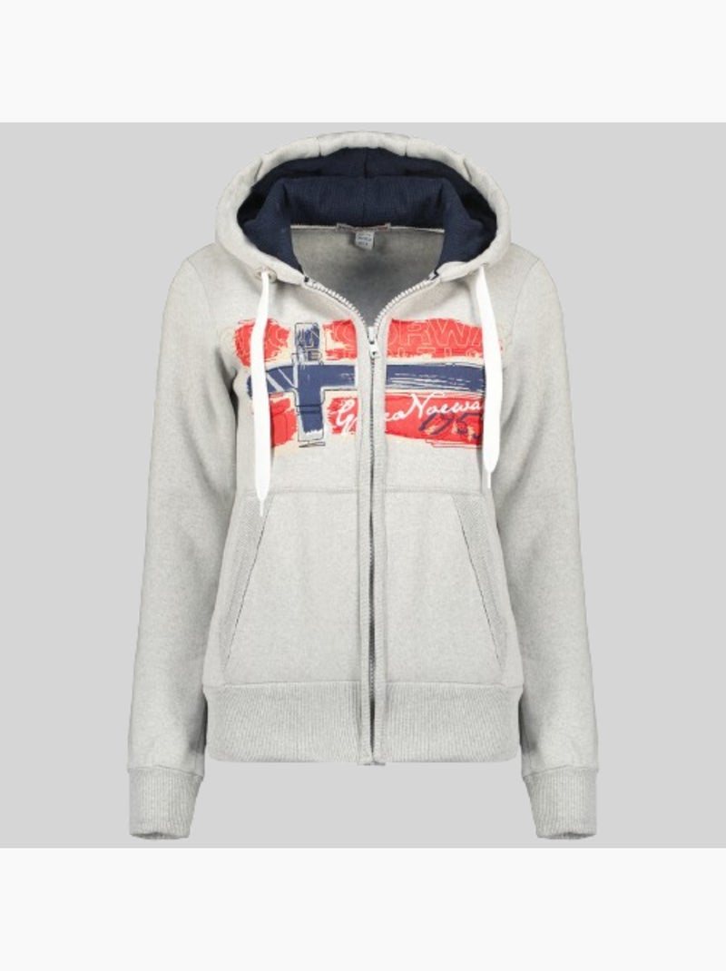 Felpa con cappuccio gayto – geographical norway Grigio chiaro - Kiabi